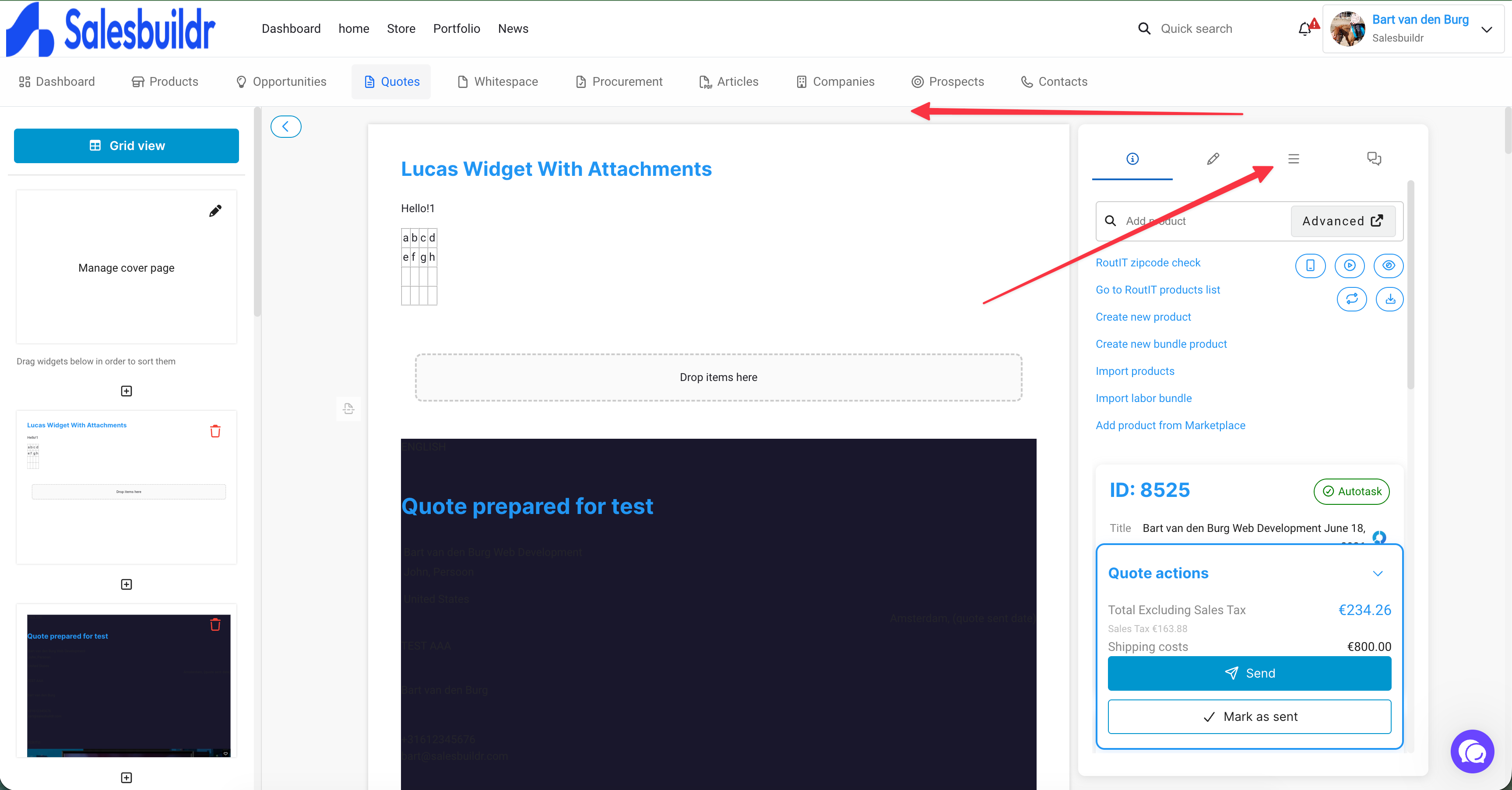 Template-level settings in the side-pane cog tab — payment terms, display toggles, and localization